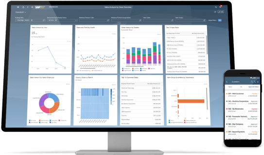 Who Uses SAP Business One?